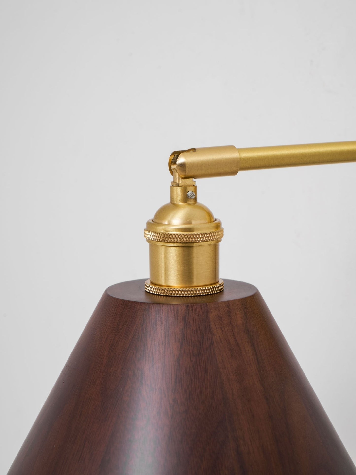 Walnut Plug-In Wall Accent Light