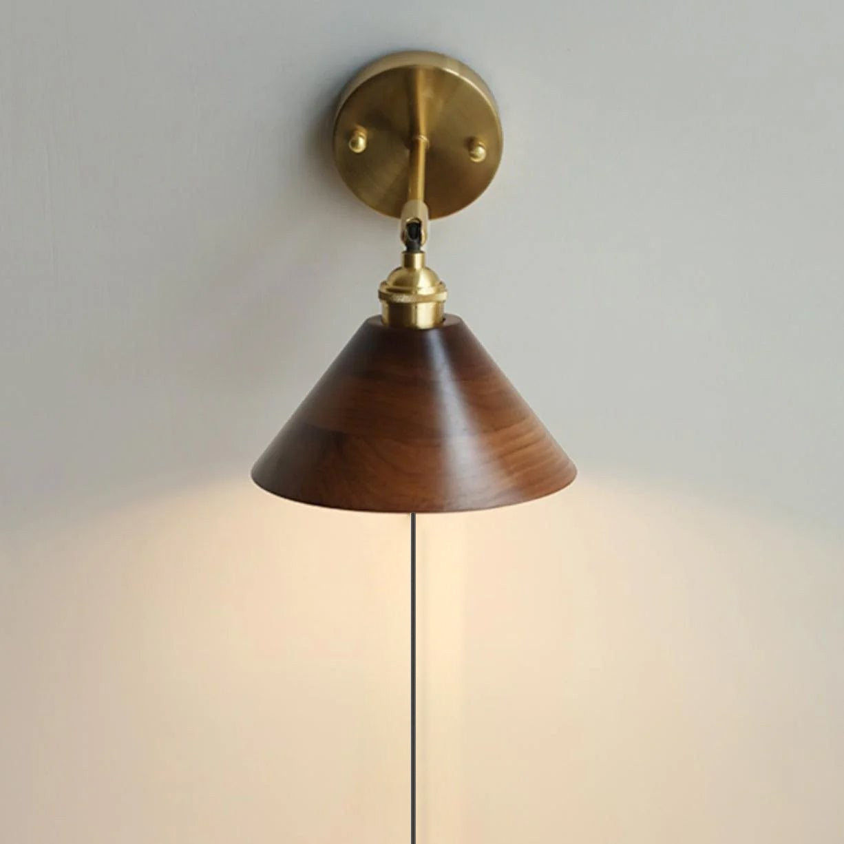 Walnut Plug-In Wall Accent Light